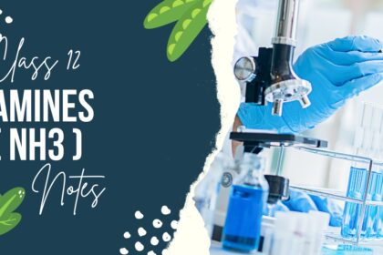Amines Class 12 Chemistry Notes