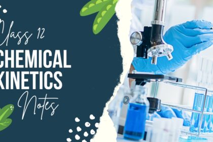 Chemical Kinetics Class 12 Chemistry Notes