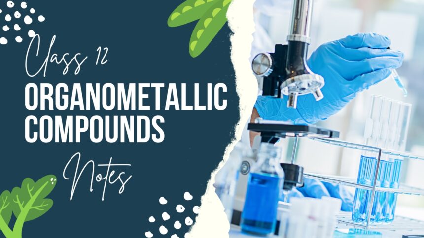 Organometallic Compounds Class 12 Chemistry Notes